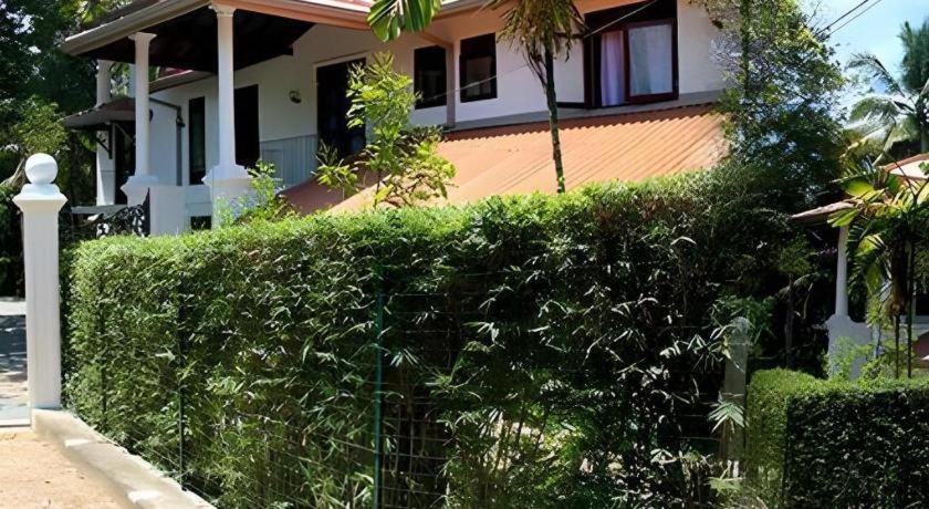 The Mgs Hotel Elpitiya  Extérieur photo